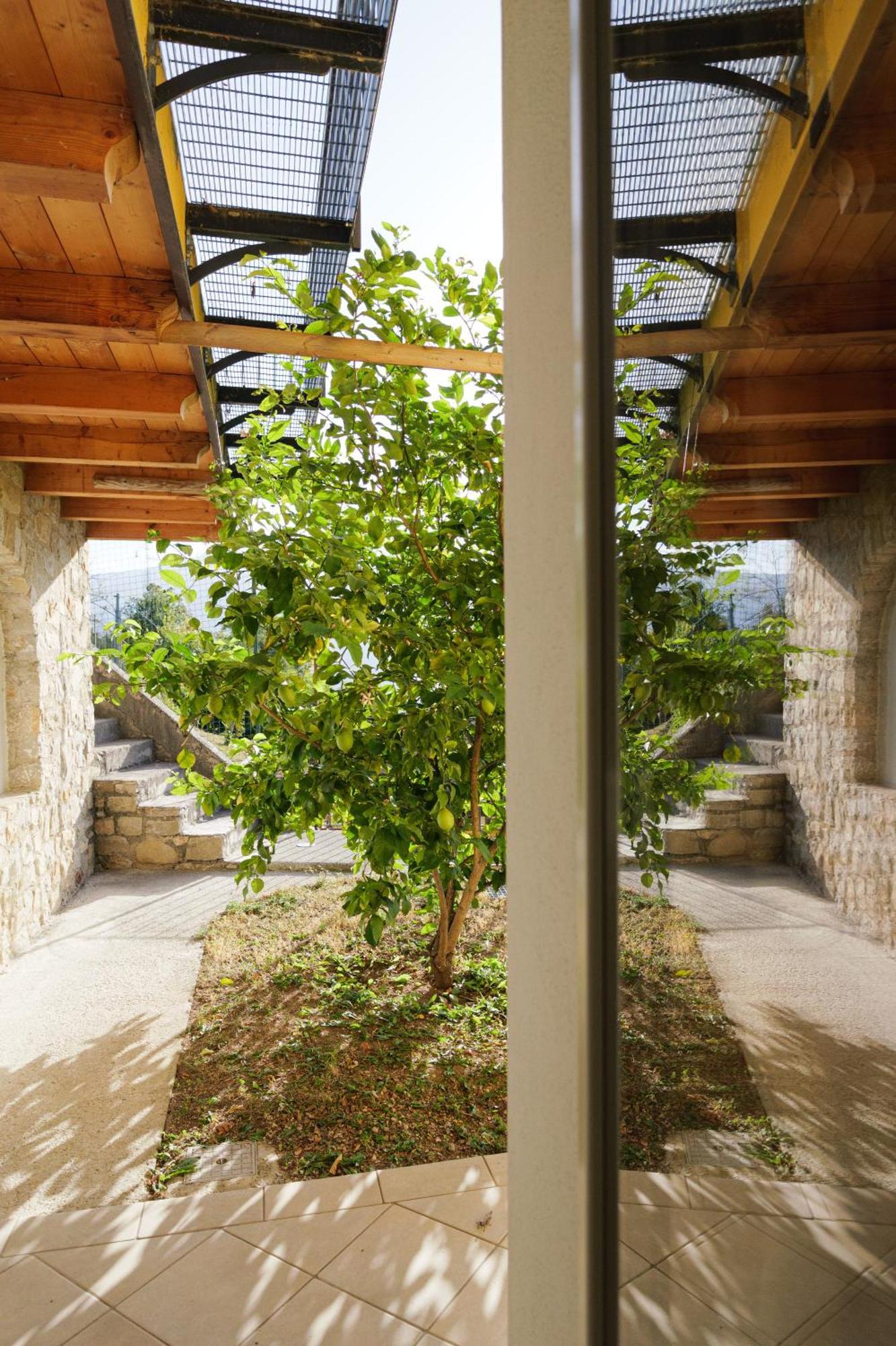 טיניאלה Casa Navla' Appartamenti "Ulivi"- "Fiori" -"Velieri"-"Luna"-"Nido"-"Taverna" מראה חיצוני תמונה